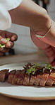 Cooking, chef and hands with food in kitchen for culinary skills, herbs and flavor or presentation. Healthy, meal prep and person with pork chop dish, hospitality and meat on plate for restaurant