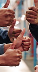 People, hands and team with thumbs up in warehouse for logistics, supply chain or distribution. Group, employees or colleagues with like emoji, yes sign or OK in storage depot for quality assurance