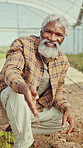 Black man, farmer and face with soil greenhouse for inspection, sustainability or food production. Mature person, dirt and check ground with farming, confidence or portrait with compost in Nigeria