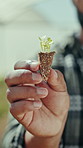 Hands, agriculture and seedling with soil in greenhouse for vegetables, sustainability or food production. Person, dirt and inspection with farming, organic sprout and plant with roots in compost