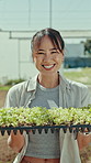 Happy woman, face and sprouts with tray in greenhouse for farming, sustainability and food production. Person, smile and portrait with organic plants, seedlings or pride with agriculture in Indonesia