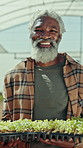 Black man, face and sprouts with tray in greenhouse for farming, happy and sustainable food production. Mature person, smile and portrait with plants, seedlings and pride with agriculture in Nigeria