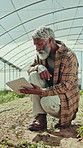 Black man, farming and tablet in greenhouse with inspection, typing and soil for sustainable food production. Mature person, tech and farmer on app for report, checklist and notes for agriculture