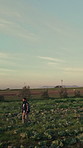 Man, farmer and walking with crops for agriculture, agro business or conservation on farmland. Male person, cultivator or monitoring resources with natural fresh organic produce on space in nature