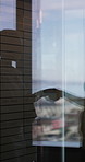 Window, shaking hands and business people in office with finance deal, agreement or partnership. Meeting, shadow and financial manager with client for investment contract handshake in workplace.