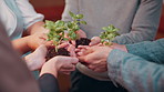 Hands, business people and team with plant for growth, sustainability and support for climate change. Sprout, group and soil for green conservation, collaboration and eco care in office for earth day