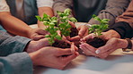 Hands, business people and group with plants for conservation, sustainability or climate change. Sprout, team and soil for green growth, environment protection or eco friendly in office for earth day