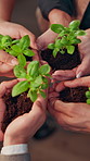 Plants, nature and hands of people in community with earth day, sustainability or non profit Group, solidarity and team of volunteers with green leaves for growth, support or ngo charity outdoor.