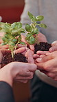 Plants, nature and hands of people in community with earth day, sustainability or non profit Group, solidarity and team of volunteers with green leaves for growth, support or ngo charity outdoor.