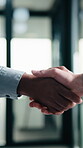 Business, handshake or people greeting in office for partnership, welcome or investor deal. Introduction, consultant or financial advisor with client shaking hands for advice, offer or opportunity