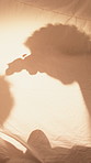 Shadow, child and parent playing with toys for storytelling, imaginative play and bedtime fun. Blanket, silhouette and person with toddler, puppet games and interaction for indoor camping at house