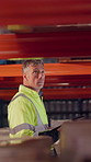 Logistics, man or warehouse inspection on tablet to manage inventory, verify shipment or export. Inspector, mature person and WMS app at shelves for quality control, update delivery log or compliance