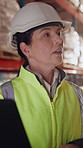 Woman, discussion and logistics in warehouse with laptop, quality control tips or export instructions. Mature person, talk or advice with computer, shipping or collaboration for supply chain strategy