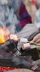 Festival, friends and hands with marshmallows, fire or social gathering with snack on break in woods. People, relax and roasting food at event, together and bonding on weekend getaway for concert