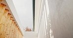 Building, fence and design at house outdoor for architecture, property boundary and privacy. Low angle, real estate and wood pillars for residential exterior, apartment structure and enclosure border