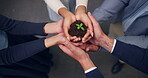 Team, hands and soil with plant in office for eco investment, seed funding project and ESG. Finance investors, people and sprout for green bonds, sustainable business practice or development on above