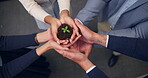 Team, hands and soil with sprout in office for eco investment, seed funding project and ESG. Finance investors, people and plant for green bonds, sustainable business practice or development on above
