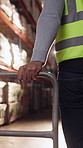 Trolley, walking and back of man in warehouse for supply chain, inventory and storage management. Factory, flare and person with pallet tray for logistics, ecommerce and distribution for delivery
