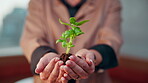 Sustainability, awareness or hands with plant, environment preservation or growth in protection campaign. Ecology, conservation or woman with soil, botanical care or cultivation in eco responsibility