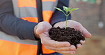 Plant, soil and hands of contractor outdoor for sustainable, growth and horticulture on site. Man, fertilizer and construction worker with green leaf for eco friendly building development with botany