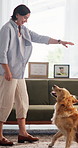 Home, woman and training dog with treats for mental stimulation, development or behavior reward. Foster pet, happy owner and hand signal for animal care, companion or teaching command with food snack