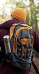 Backpack, hiking and man in forest for adventure holiday, outdoor exploration and sightseeing trip. Back, trekking and person in nature for eco tourism, walking and travel on journey for vacation