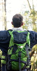 Back, hiking and man in forest for freedom, holiday adventure and explore for wanderlust goal. Backpack, trekking and person in nature with open arms, walking and achievement for journey success