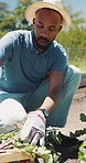 Farming, plant and black man with soil, growth and agriculture for nature, sustainability or inspection. Person, fertilizer and farmer with seedling for eco friendly, environment or countryside