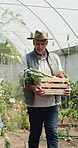 Man, farmer and walk in greenhouse with basket, harvest and hat with organic produce in summer. Mature people, vegetables and farming with wood box, crops or inspection for sustainable agribusiness