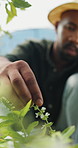 Farmer, plant or black man with growth, sustainability or agriculture for nature, harvest or environment. African person, fertilizer or business with seedling for eco friendly or countryside in Kenya