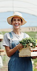 Woman, farmer and face in greenhouse with basket, smile and hat with organic produce in summer. Person, vegetables and farming with portrait, harvest and happy for agriculture with sustainability