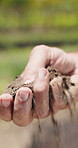 Agriculture, hand and soil testing in farm, farmer and inspection for crop sustainability or growth. Dirt, quality check and person with fertilizer for plants, entrepreneur and environmental care