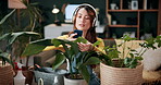 Headphones, woman and photo of plant in home to monitor health, gardening hobby and leaf damage. Gardener, concern and person with houseplant picture for unhealthy development, growth app and music