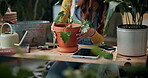 Pot, hands and plants with woman in home for gardening, soil health or horticulture hobby. Eco friendly, leaf disease check or growth with person in living room of house for botanical maintenance 