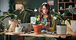 Florist, scroll and woman with tablet in house, reading and plant research for sustainable business. Entrepreneur, indoor garden and person with tech for online shop, typing and inventory on website