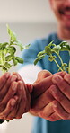 Medical, plants and team with hands of people in hospital for  mission, commitment and support. Healthcare, insurance and community with nurses in clinic for accountability, goal and seedling