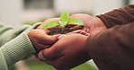 Plant, soil and hands of couple with seedling for starting relationship, growth and future goals. Nature, marriage and man with woman with seedling for bonding, support and love for growth together