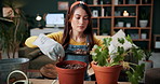Soil, plant and woman at house for gardening, fertilizer and maintenance for agriculture. Gardener, sand and female person in lounge with houseplant, botanical and tools with compost for leaf growth