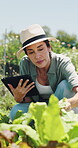 Plant, inspection and woman with tablet in farm, sustainability and agriculture management with tech. Serious, mature person and monitor climate for crop growth, leaves and quality assurance report