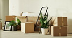 Real estate, boxes and decor in house with moving, new home and investment in rental. Residential, mortgage and property with cardboard containers, capital assets and relocation to starter apartment.