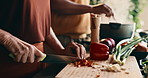 Hands, peppers and woman in kitchen at house for nutrition, health and cooking meal for diet. Knife, vegetables and female person cutting ingredients on board for dinner, dish or supper in apartment.