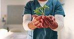 Nurse, hands and plant in hospital with sustainability, medical responsibility and growth for career. Person, healthcare worker and seedling for wellness, support and accountability for patient care.