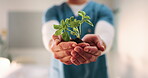 Nurse, hands and plant in hospital for natural growth, sustainability or eco friendly service. Medical person, employee and progress with sapling for conservation, development and support in clinic
