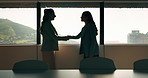 Women, handshake and success at office by window with goals, profile or recruitment at HR company. Business people, shaking hands and deal for onboarding, agreement or thanks at human resource agency