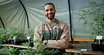 Face, marijuana or man in greenhouse with arms crossed, ambition or career pride in cbd production. Horticulture, happy or cultivator with hemp plants, about us or confidence in cannabis business.