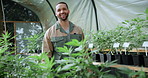 Inspection, cannabis or man in greenhouse with face, quality control or career pride in cbd production. Horticulture, smile or farmer with plants, growth check or confidence in marijuana business.