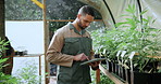 Marijuana, greenhouse and man with tablet for agriculture, growth records and hemp production. Cannabis, tech and person in conservatory, farm inspection or check medicinal plants for quality control