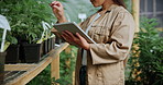 Review, cannabis or hands in greenhouse with tablet, online report or monitor of cbd production. Checklist, woman or cultivator with tech, quality control or harvest inspection in marijuana business.