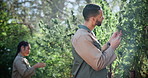 Cannabis, team and people with inspection on farm, leaf evaluation and hemp cultivation discussion. Outdoor, talking or farmers with growth check for marijuana harvest, medicinal plant or agriculture