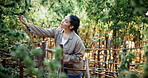 Woman, inspection and marijuana at farm with tablet, examine leaves or research for sustainability. Agriculture, person and plant evaluation outdoor with tech, cannabis production or online checklist